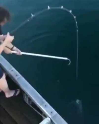Is this how everybody is fishing now?