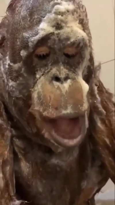 Wonder how he figured out that…hilarious 