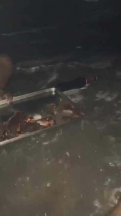 enjoying the evening out by the seashore