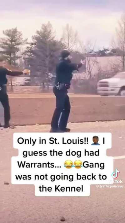 Not today paw patrol..