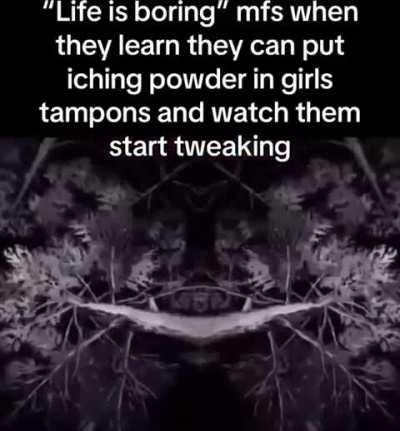 Life could never be borin