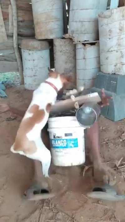 Well, a pleasant dinner!