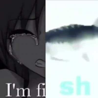 Help me identify this meme/rock(?) Song