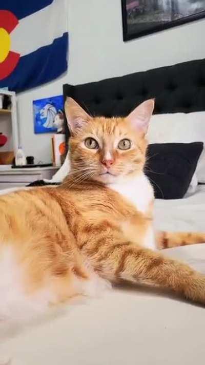 one of the cringiest thing I've ever seen