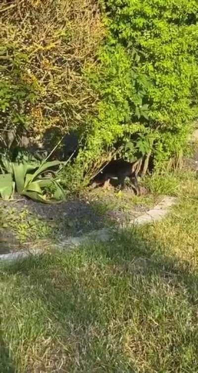 A lesson was learned..