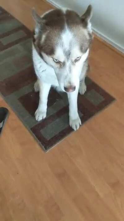 Tiny tantrum from Ares