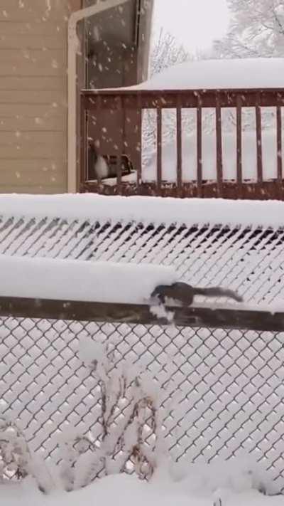 Такая юркая, я не могу