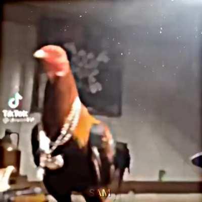 Cock edit