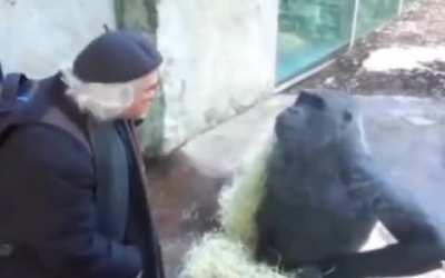 Wordington conversation