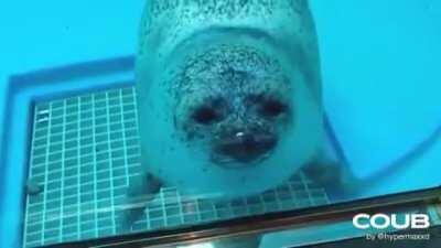 An interesting title