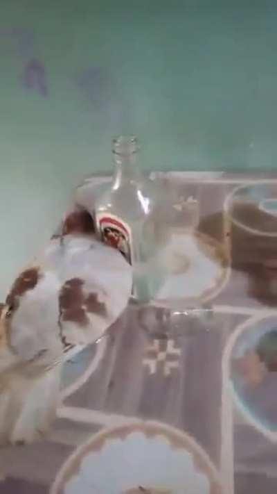 Ajuda ele Pedro 😭