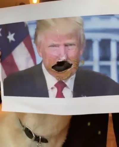 Trump announcing his 2024 run.