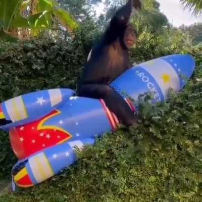 Basically everyone before market opening