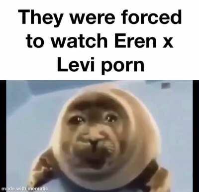 Poor things 😿😿