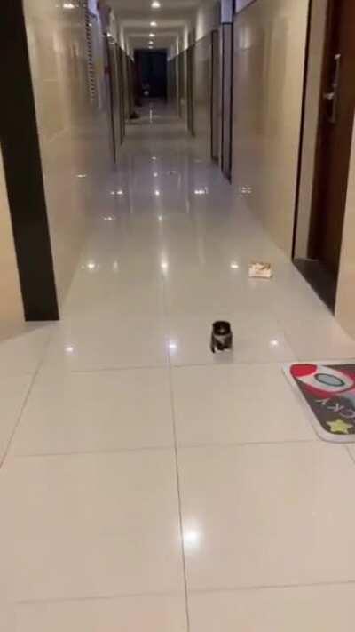 Person of Interest caught in the hallway