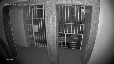 Chinese man gets into a gunfight with multiple home invaders in Zimbabwe, 2-9-2020