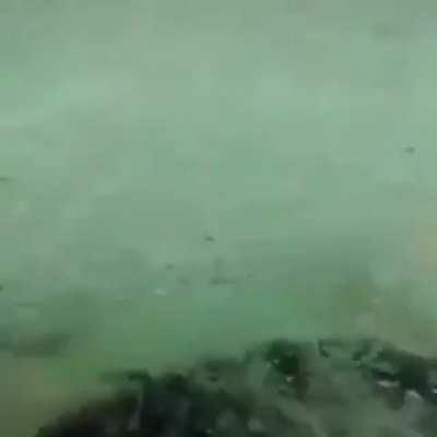 Regra 1#: Olhe sempre antes de pular.