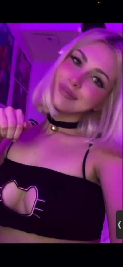 Nya 🐱🏳️‍🌈🏳️‍🌈