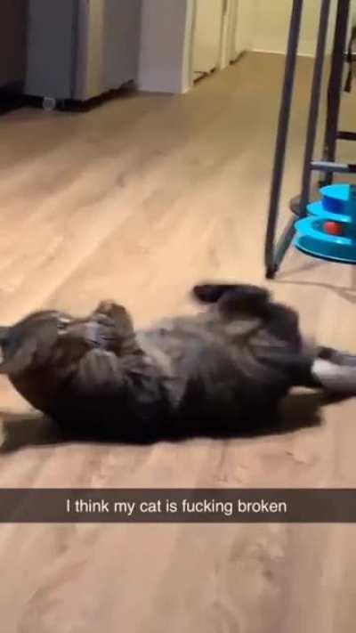 Finally caught that naughty little greeble