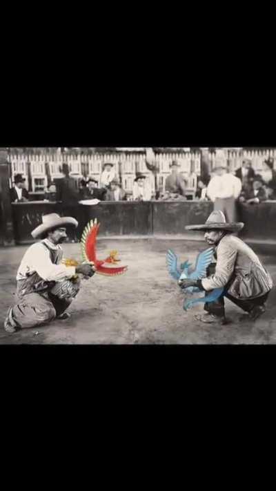 Battles south of the boarder 