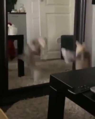 Dance like no one is watching