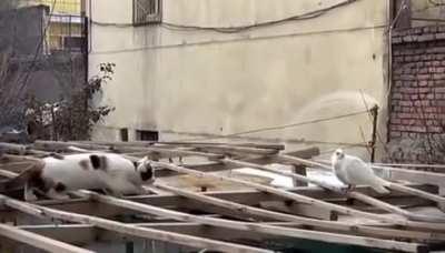 The look at the end says it all.