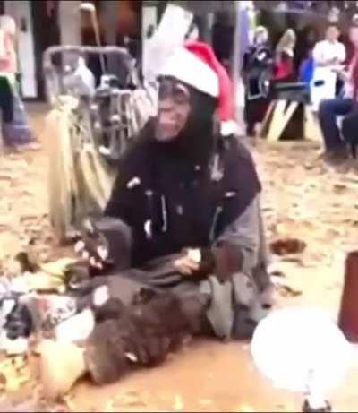 Beggar spitting facts