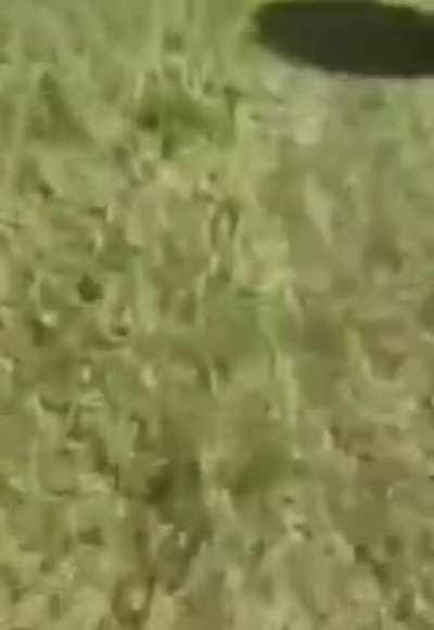 footballs with homies = 🔥🔥🔥