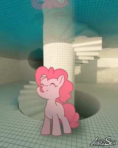 The Ponk Vibin