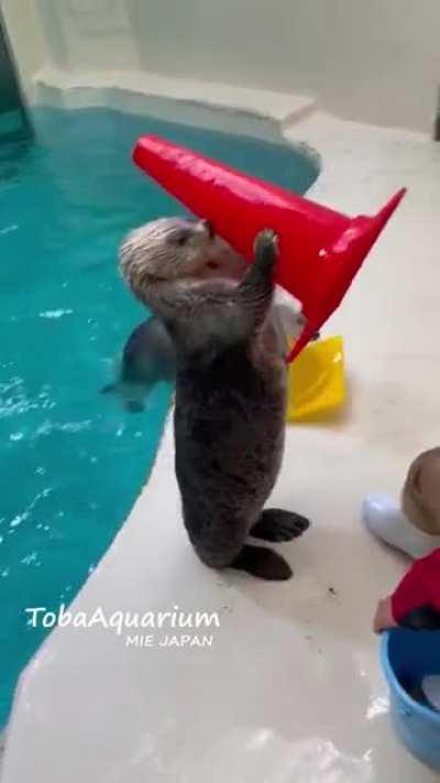 Synchronized traffic cones