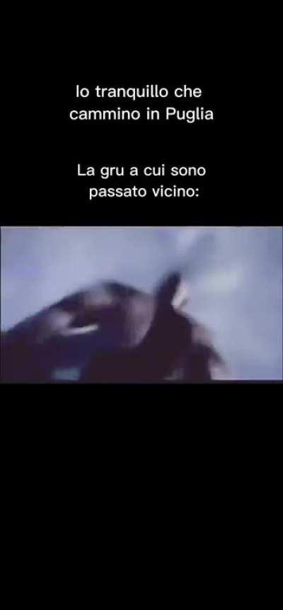 Tieni la testa alta quando passi vicino alla gru