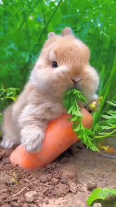 The cutest video you'll see today 🥰