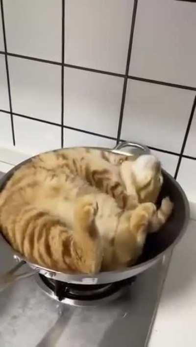 Pan frying adds a delicious golden crust