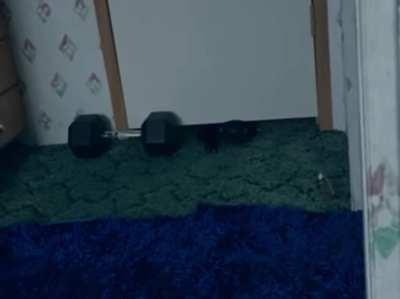 Terminator 2: Judgement Day