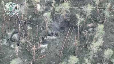 ru pov: 120mm 2S9 Nona self propelled mortar of Russian airborne forces hitting Ukrainian infantry - Svatovo-Kremennaya