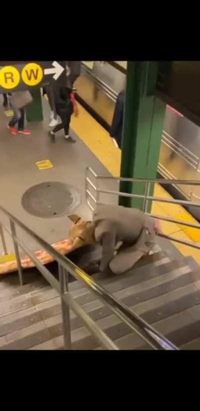 He has turtles to feed