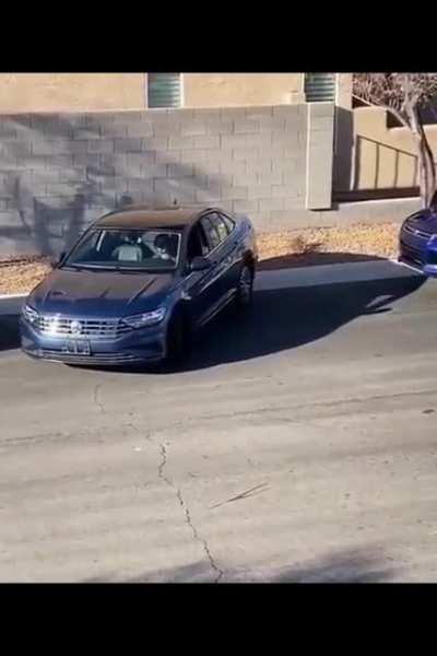 you're both lovely but you're both idiots