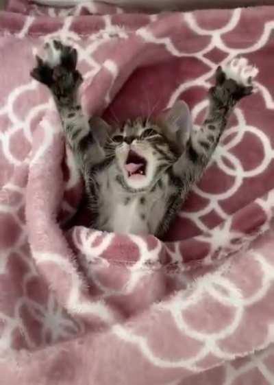 good morning all my friends