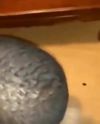 I don't like ya cut g