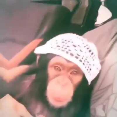 I didn't make this but I hope you guys will like it