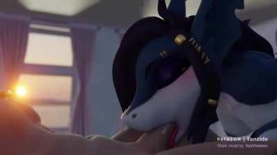 Shark Blowjob [MF] (Tenzide)