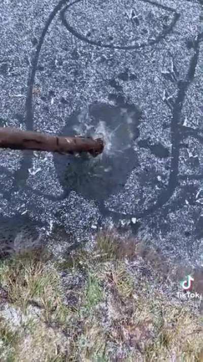 Sussi baki 🥵🥵🥵🥵🥵🥵🥵🥵