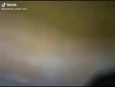 Zonk autotune adlı çalışma