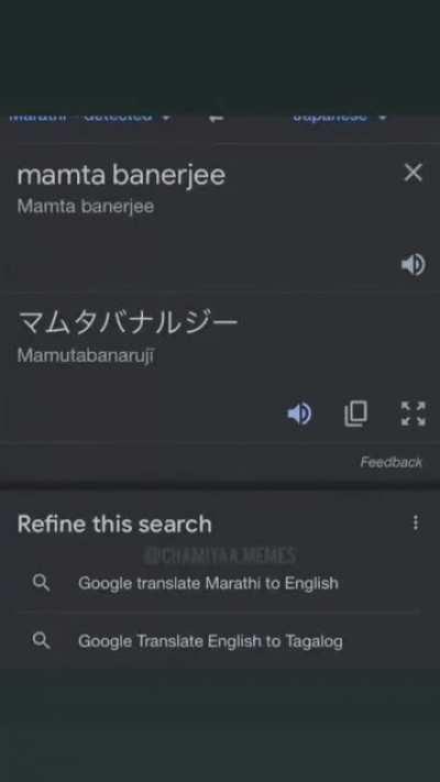 Japanese Mamata Banerjee