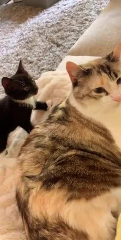 That's what you get for being a jerk!