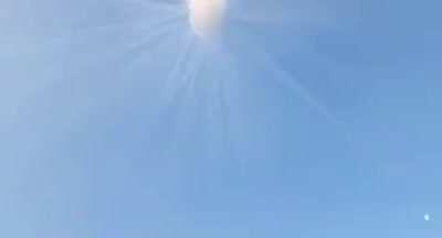 So was it a boy or a girl