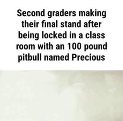 its ok he doesn't bite