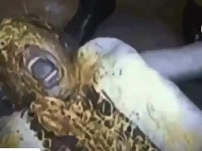 All dreams have meanings