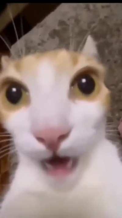 Me when the- 😳😮😲🤯