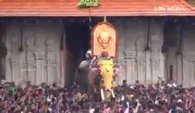 Smallest elephant in India